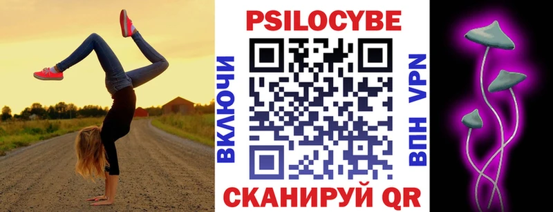 Псилоцибиновые грибы GOLDEN TEACHER  где можно купить наркотик  мега tor  Новороссийск 